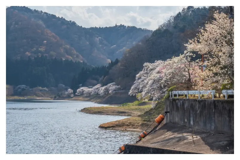 大熊町の写真