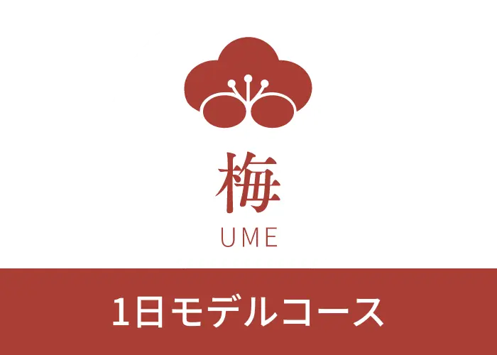 梅 1日モデルコース